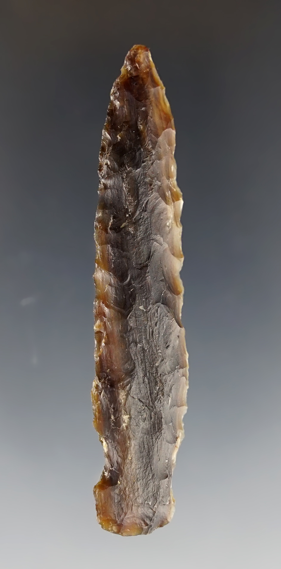 3" Petrified Wood Sidenotch in excellent condition. Found in Hughes Co., South Dakota.