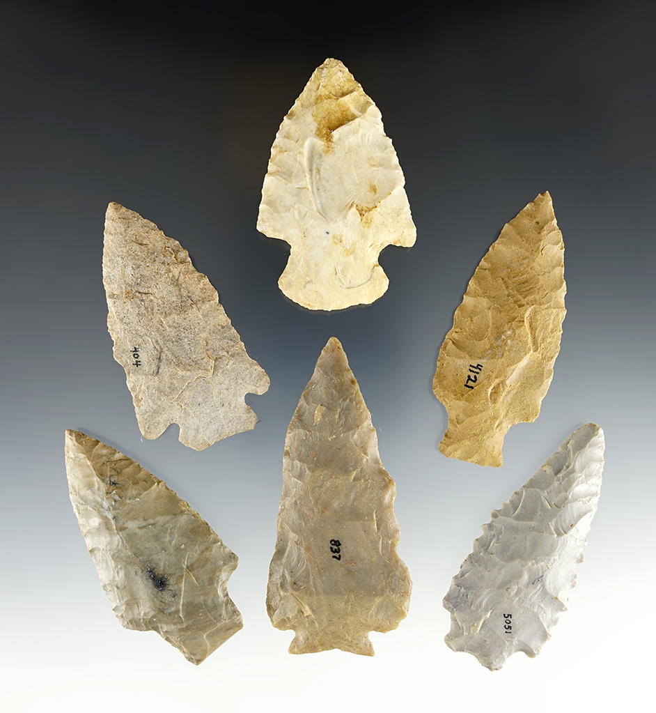 Set of 6 nice points found by Charlie Long in Clark Co., Kentucky. Largest is 3 1/8".