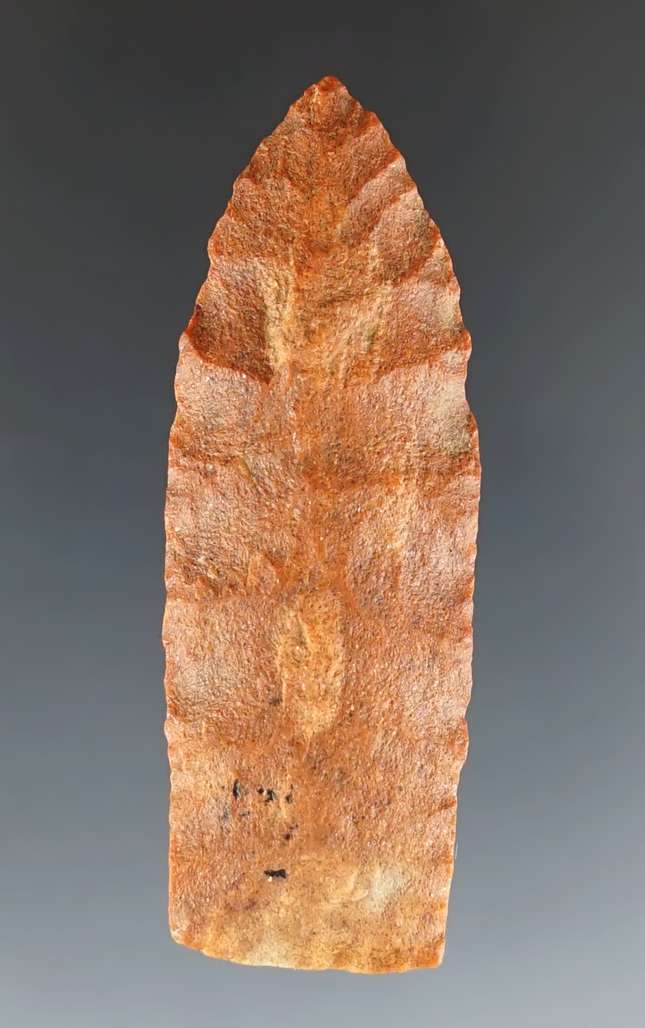 Rare 2 1/8" Eden. Found in Lincoln Co., Colorado. Made from red Quartzite. COA.