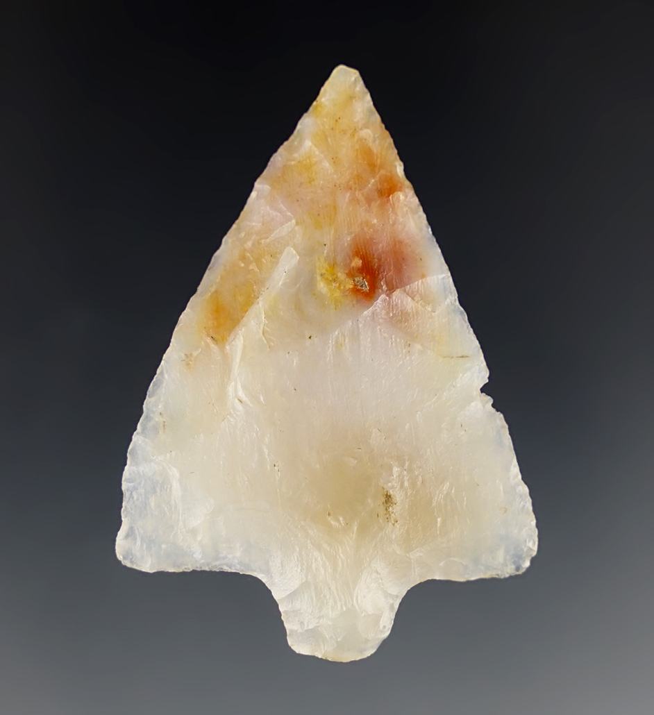 Translucent 1 7/8" Newnan made from Agatized Coral. Found in Polk Co., Florida. COA.