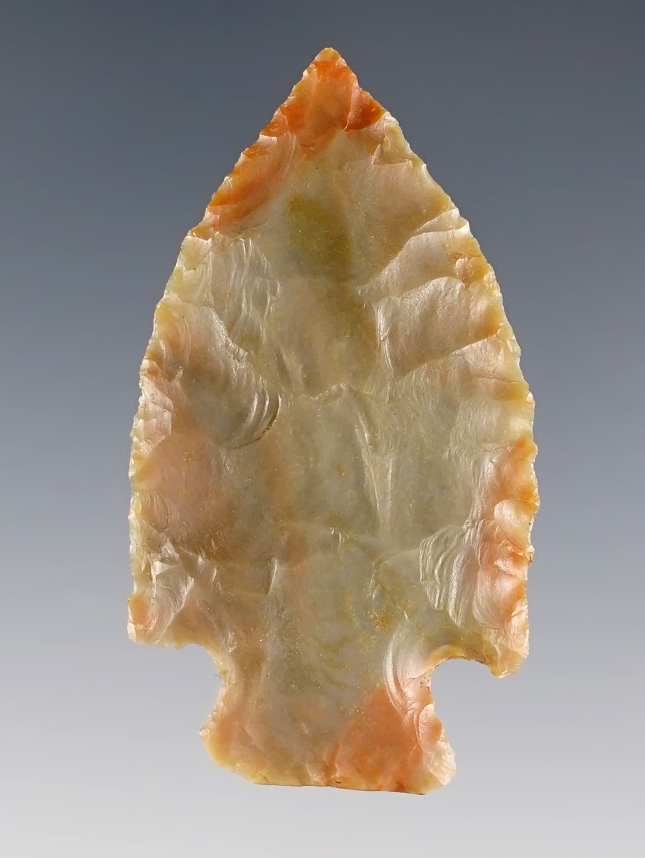 1 13/16" Intrusive Mound made from Carter Cave Flint. Found in Kentucky. COA.
