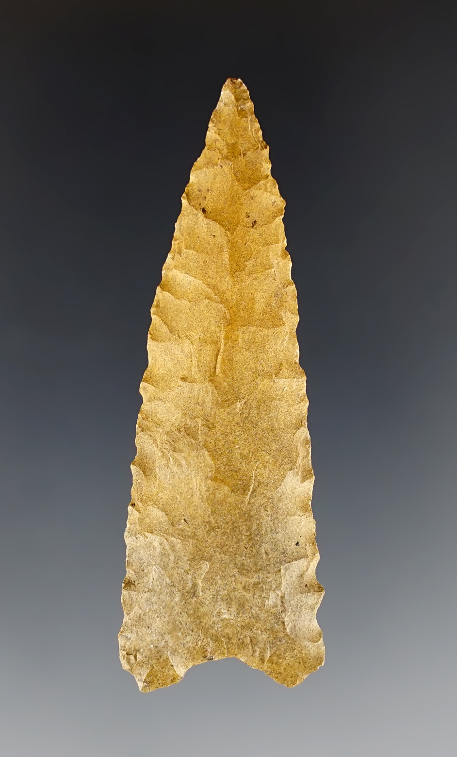 2 3/8" Triangular Knife found in Sumner Co., Tennessee. Pictured. Dickey COA.