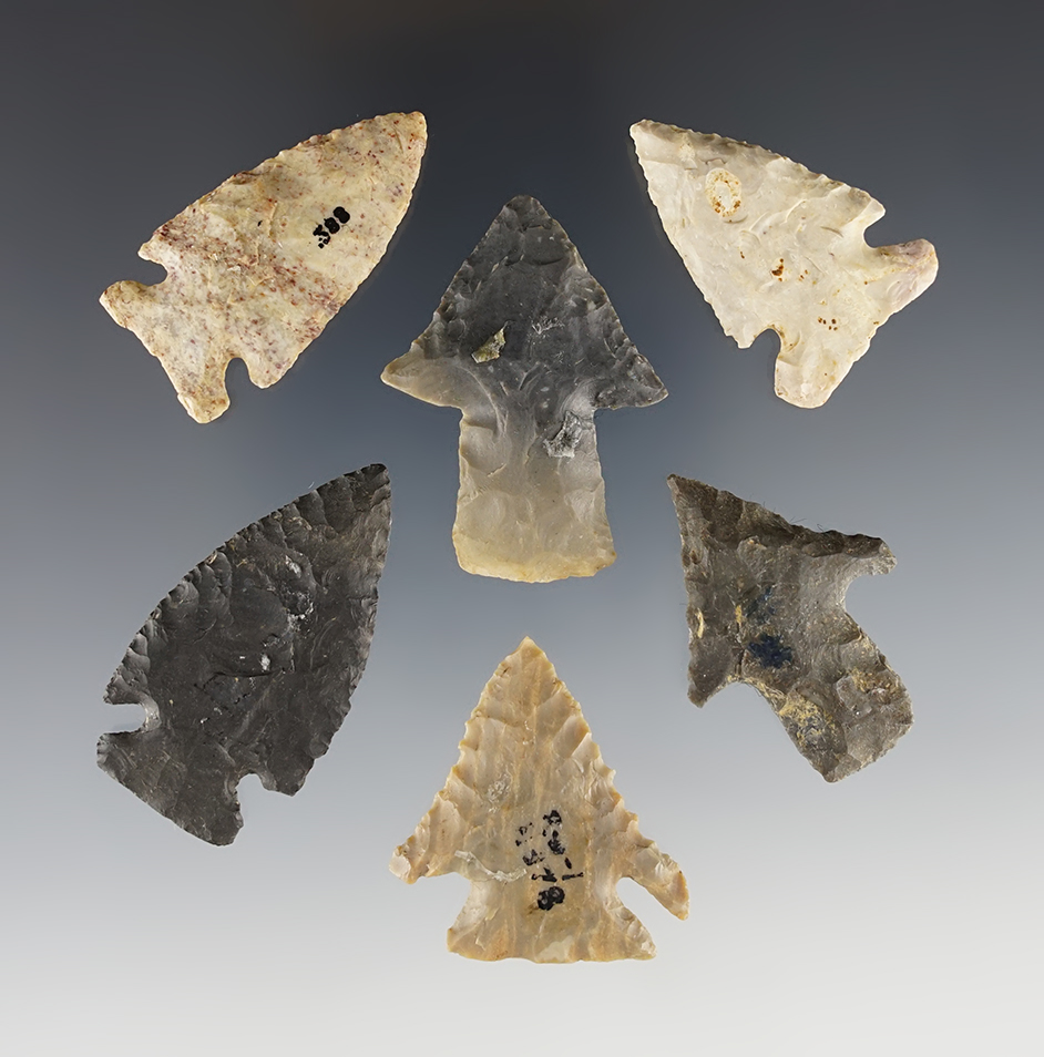 Set of 6 Kentucky points including Intrusive Mound, Pinetree and more. Ex. Charlie Long.