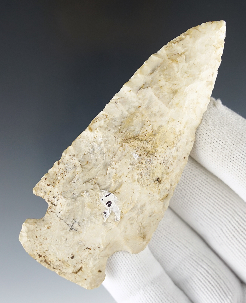 3 7/8" Ferry with nice basal grinding. Found in Adams Co., Illinois. Comes with a  COA.