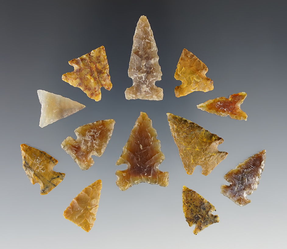 Set of 12 nice High Plains points in good condition. The largest is 1 3/16".