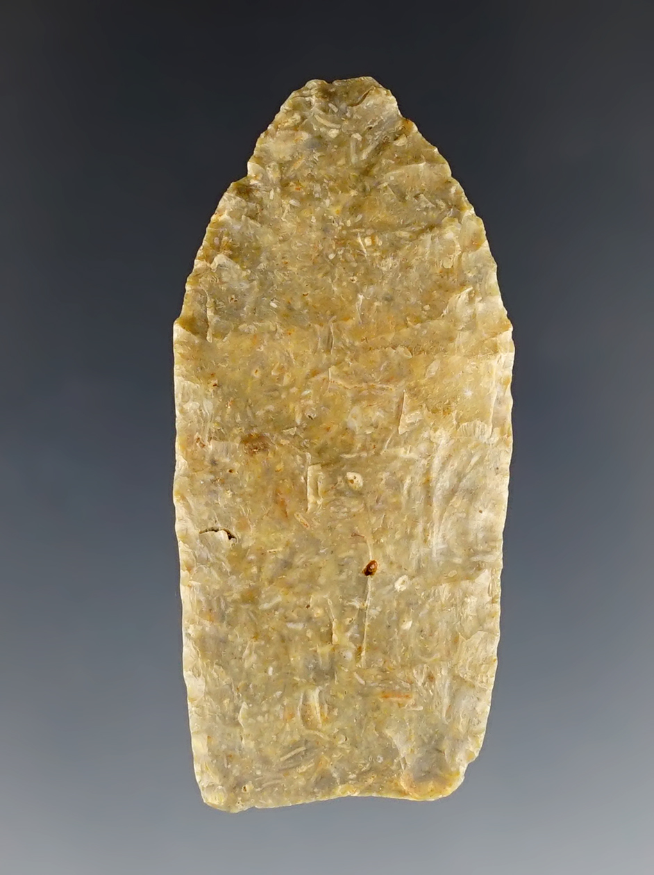 Rare 2" Milnesand found in Scott Co., Iowa near the Mississippi River. COA.