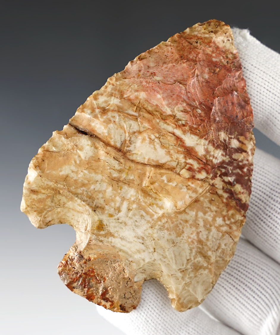 3 7/16" Snyders with a restored base. Adams Co., Illinois. Burlington Chert. COA.