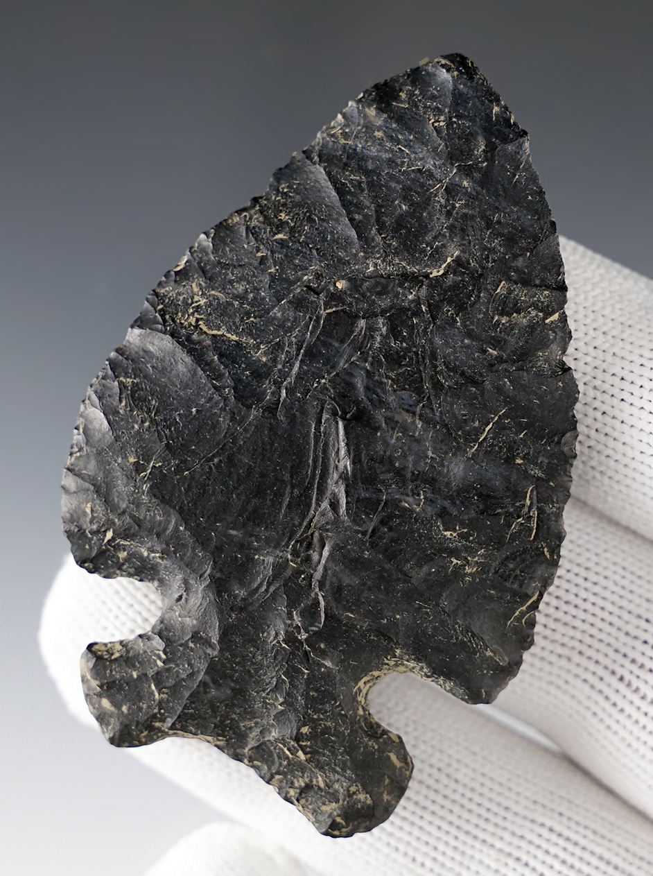 2 3/4" Archaic Thebes made from Coshocton Flint. Fayette Co., Ohio. Comes with a COA.