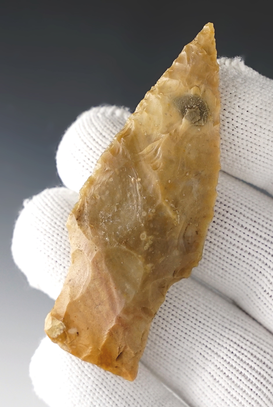2 7/8" Zorra found in Travis Co., Texas. Made from gray and tan Chert. Rogers COA.