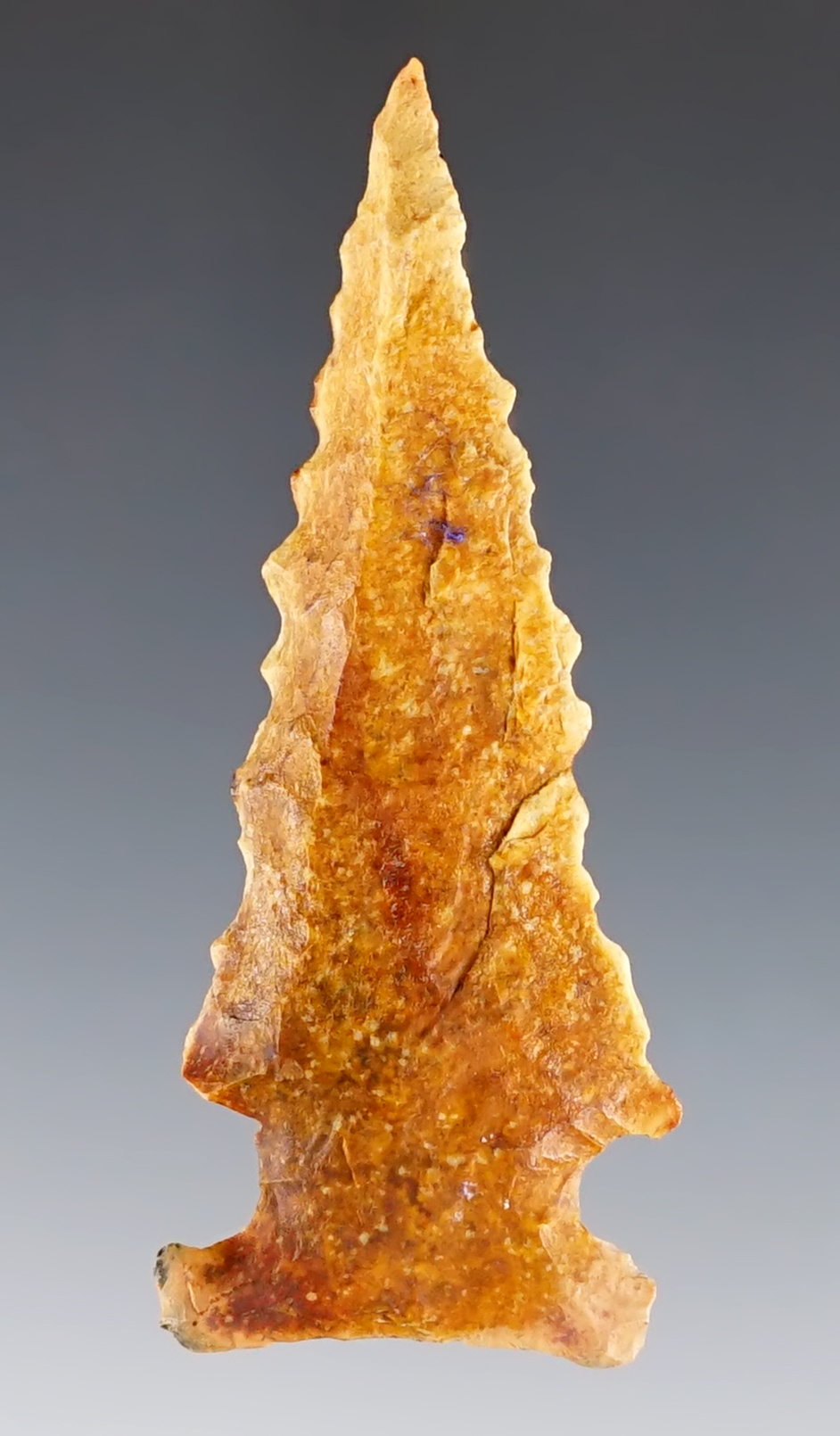 2 7/16" Bolen Bevel. Madison Co., Florida. Made from Coastal Plains Chert. COA.