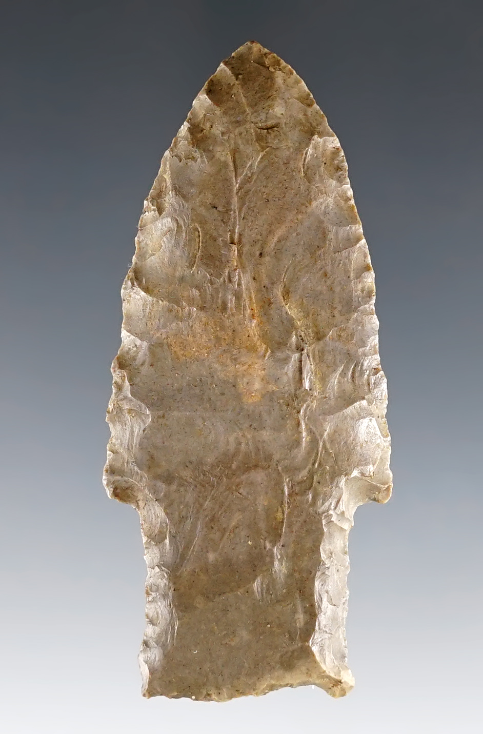 2 11/16" Paleo Stringtown Lance found in Muskingum Co., Ohio. COA.