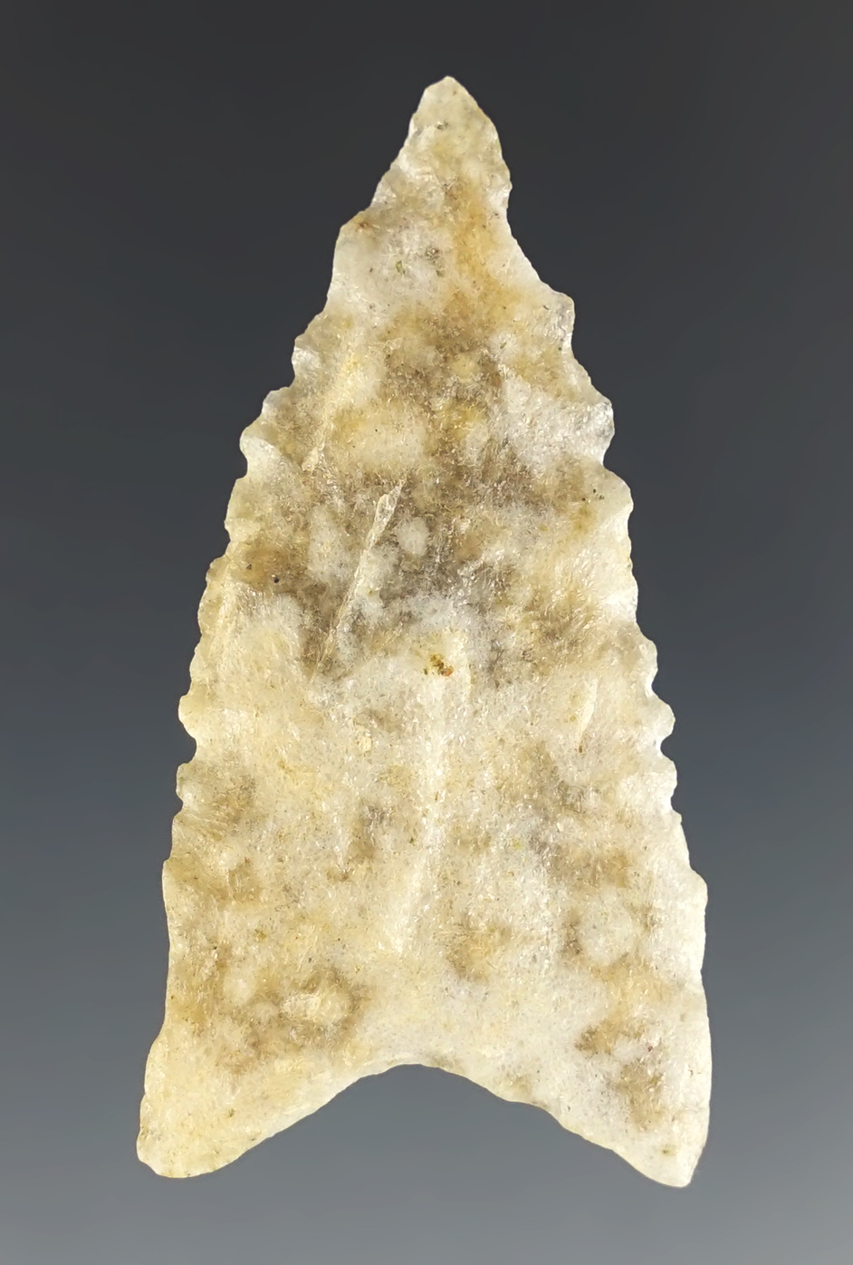 1 15/16" Dalton made from Tallahatta Quartzite. Found in Choctaw Co., Alabama. COA.
