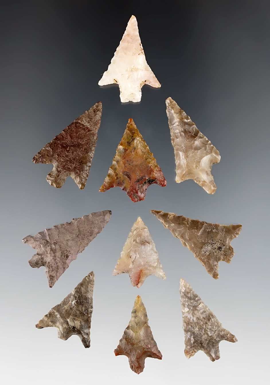 Group of 10 assorted arrow points recovered in Clackamas Co., Oregon. Largest is 1 1/8".