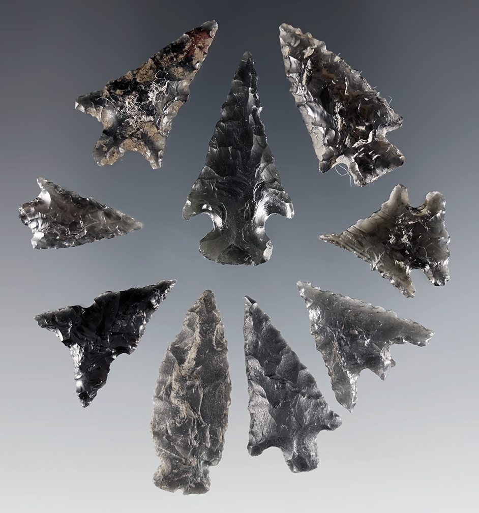 Group of 9 assorted Obsidian Arrow Points found near Fern Ridge, Lane Co., Oregon.