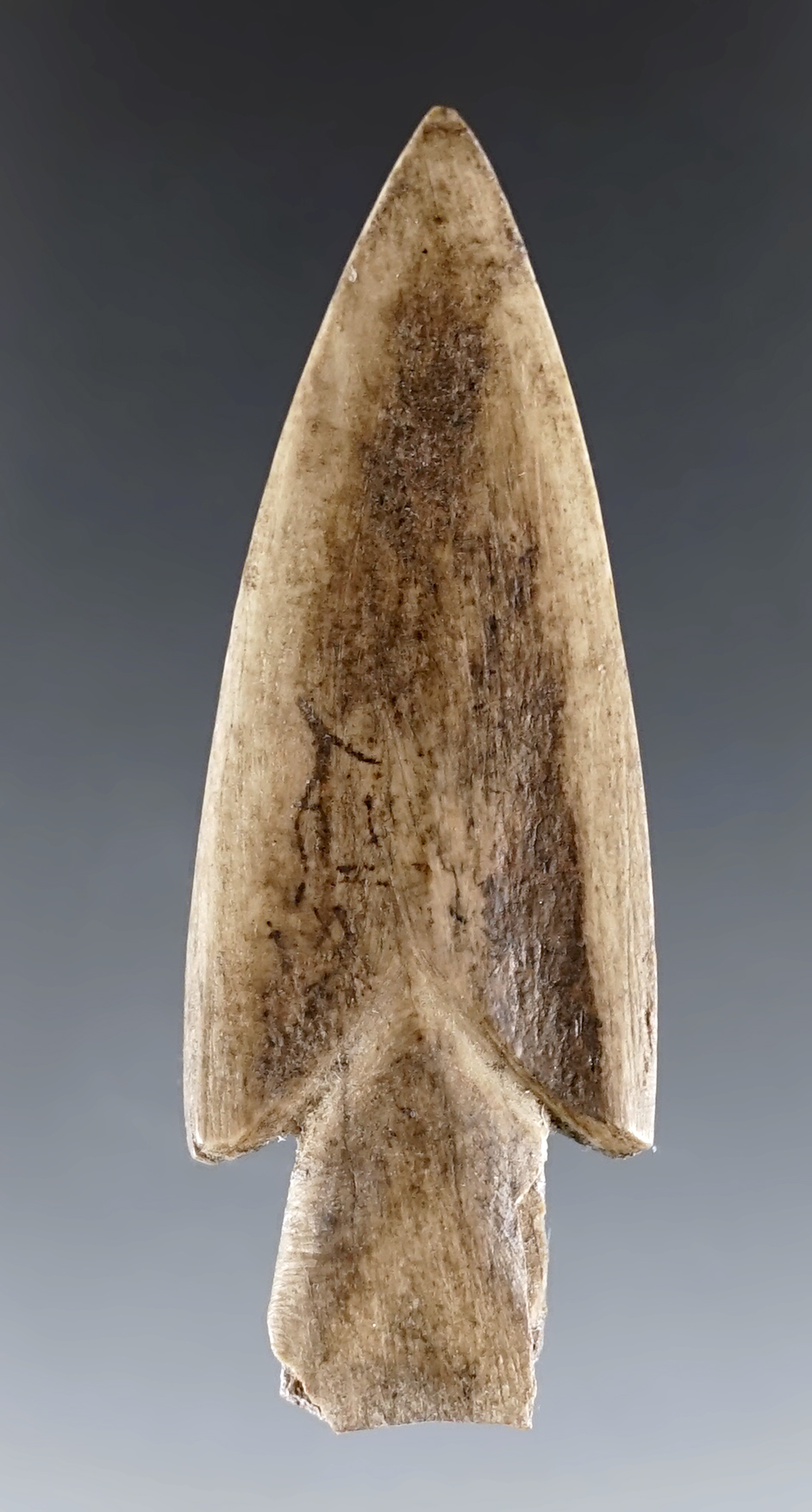 Rare 2 1/4" Bone Point or Pendant found at the Old Town Site in Umatilla Co., Oregon. COA.