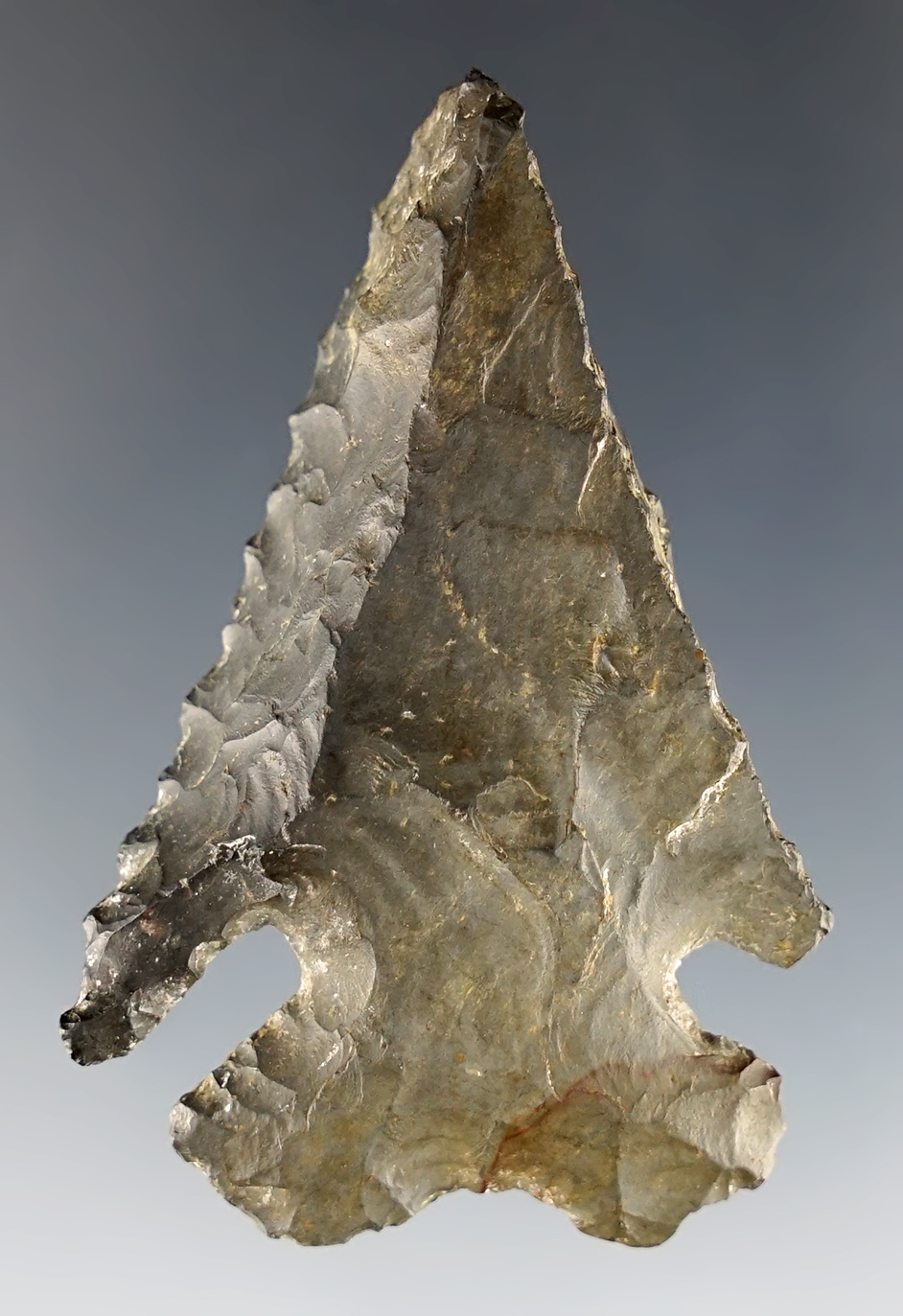 Steeply beveled 2 1/4" Archaic Thebes made from Coshocton Flint. Guernsey Co., Ohio.