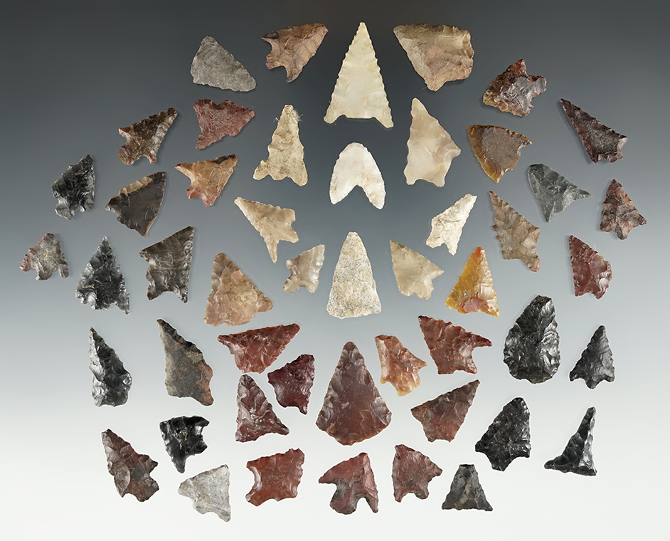 Large group of 49 assorted arrow points recovered in Clackamas Co., Oregon.