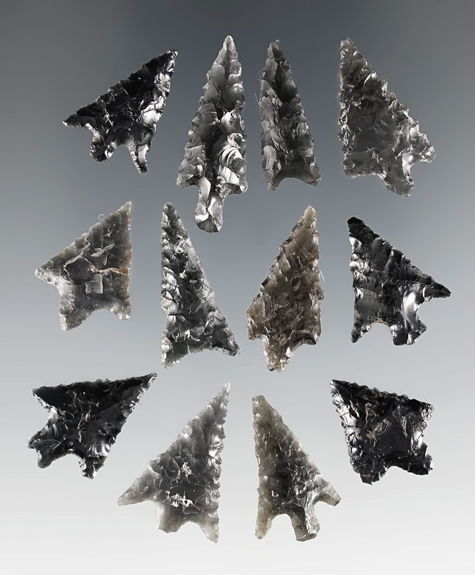 Group of 12 assorted Obsidian arrowheads found near Fern Ridge, Lane Co., Oregon.