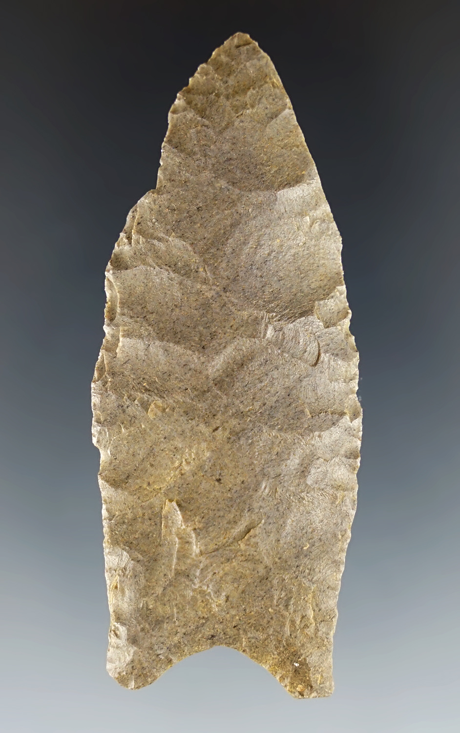 2 3/4" Plainview found by Arnold Moore in Clay Co., Arkansas. Comes with a Stermer COA.