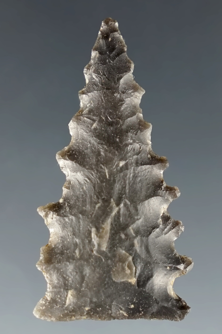 Excellent style & serrations! 1 1/2" Fountain Creek found near Slate Creek, Bath Co., Kentucky.