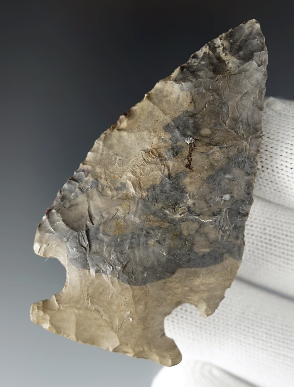 Nicely made 2 11/16" Archaic Cornernotch made from Delaware Chert, Delaware Co., Ohio.