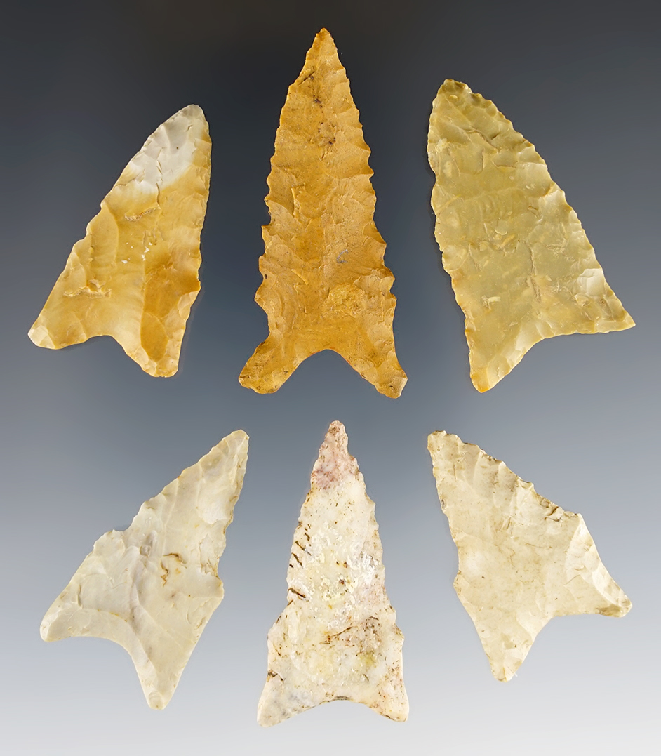 Set of 6 nice Dalton points found in Arkansas. The largest is 2 1/16".