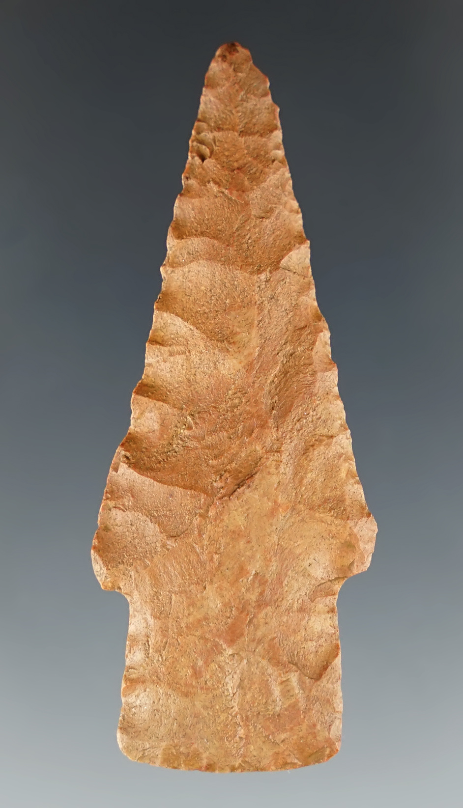 2 1/2" Scottsbluff made from reddish-brown Chert. Found in Pontococ Co., Oklahoma. COA.