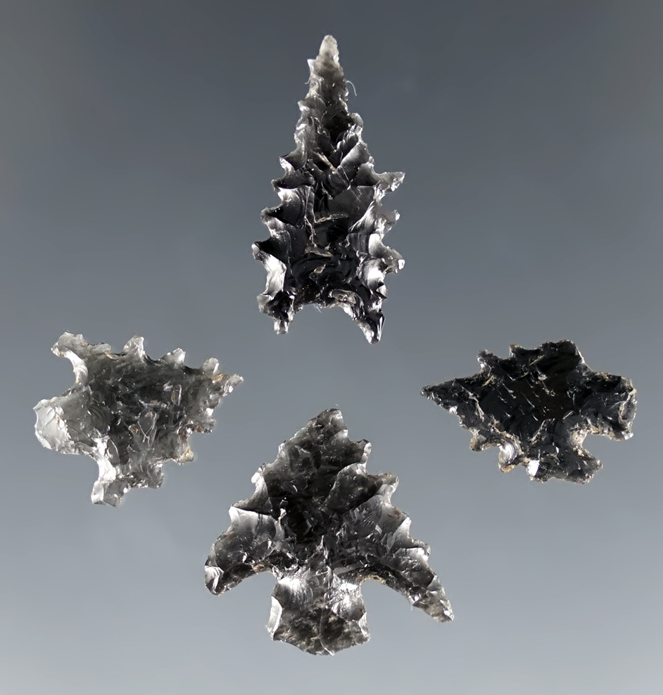 Nice serrations on this set of 4 Calapooya Points made from Obsidian, Lane Co., Oregon.