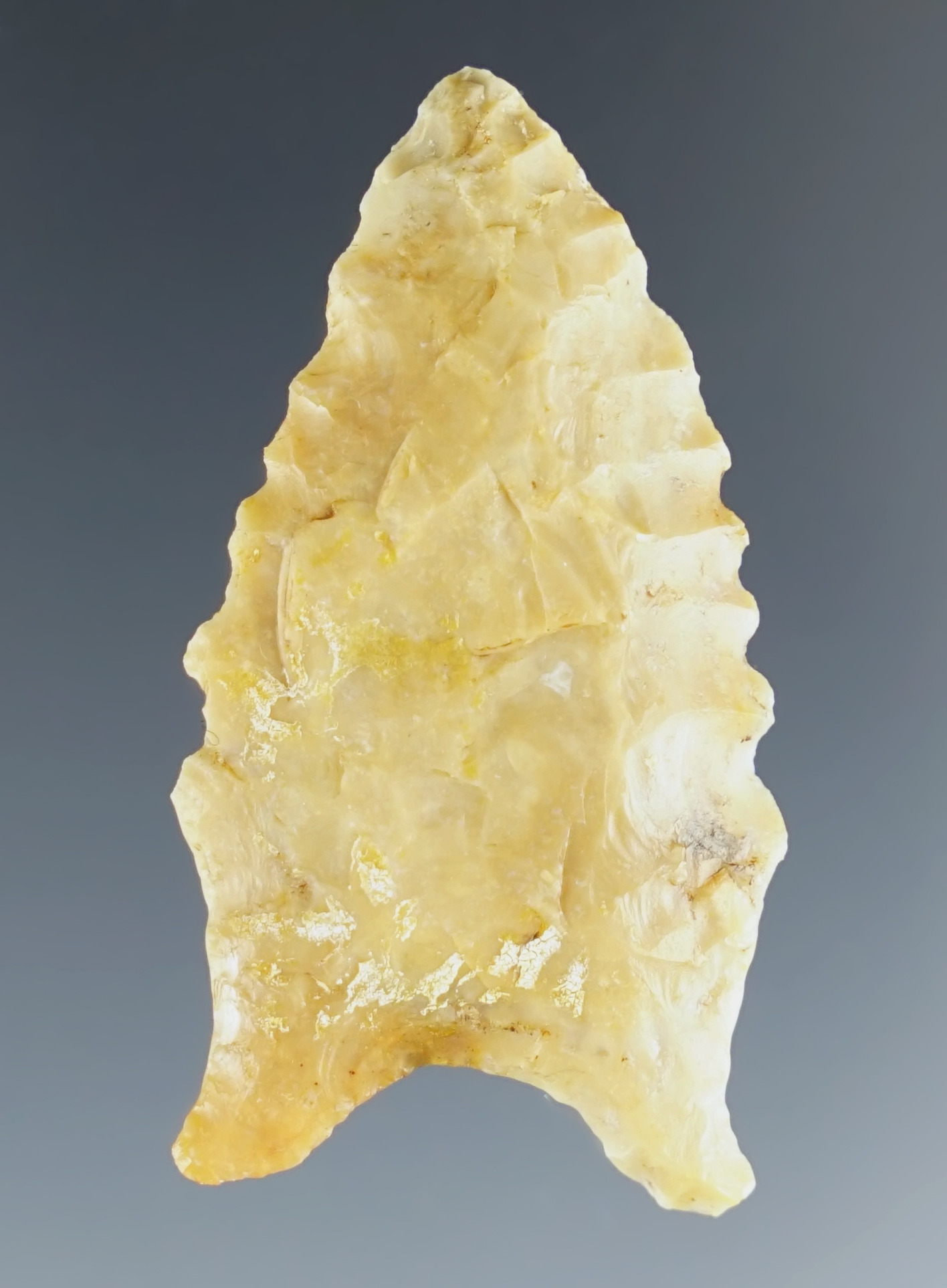 Well made 1 3/4" Dalton found in Clay Co., Arkansas.