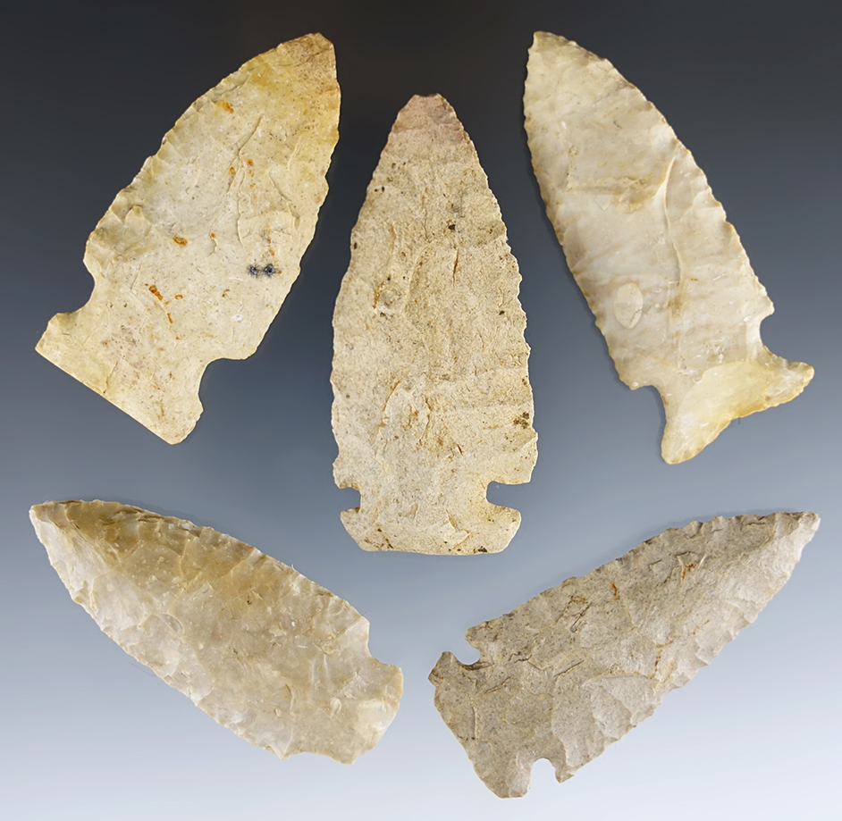 Set of 5 nice points found by Charlie Long in Clark Co., Kentucky. The largest is 2 13/16".
