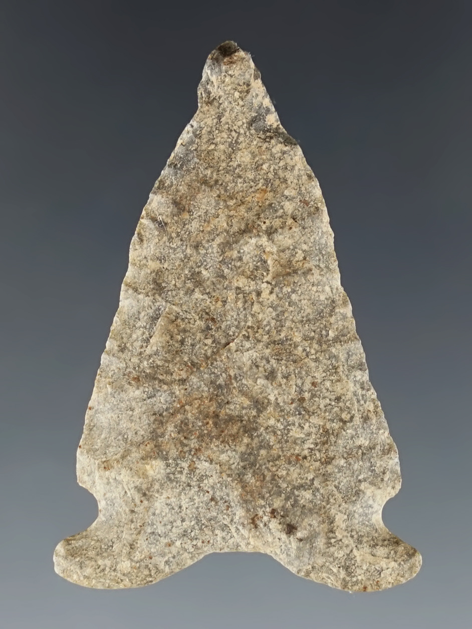 Well patinated 1 5/8" Hardaway found in North Carolina. Ex. Gregory Perino/Seismore.