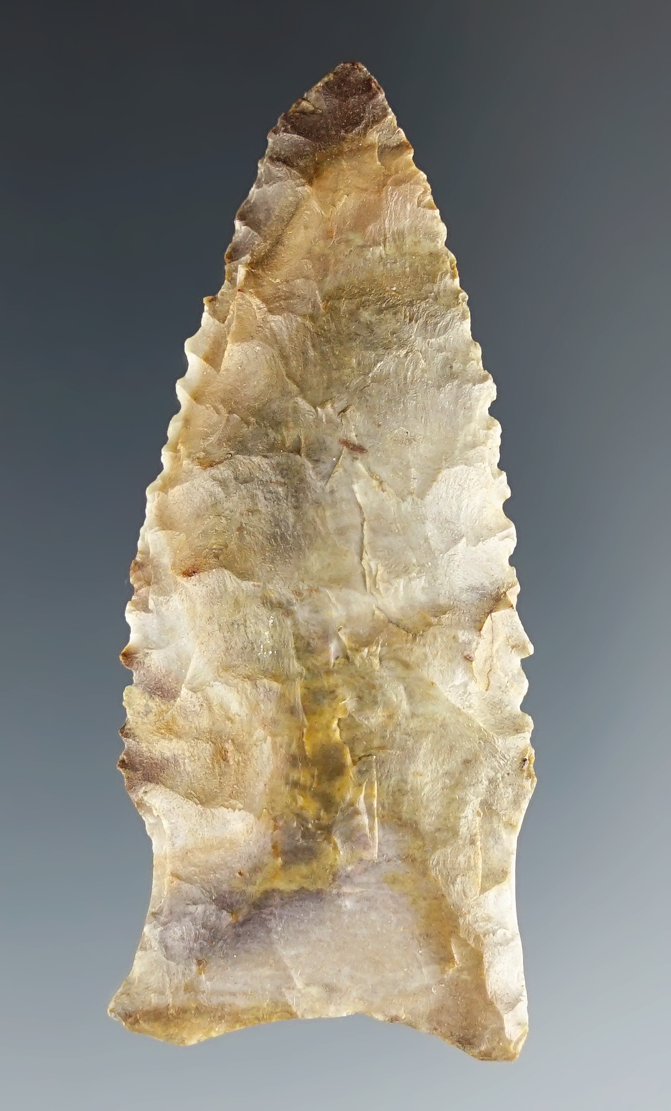 Nice 2 1/4" Greenbrier Dalton found in Hardin Co., Tennessee. Very fine edge serrations.