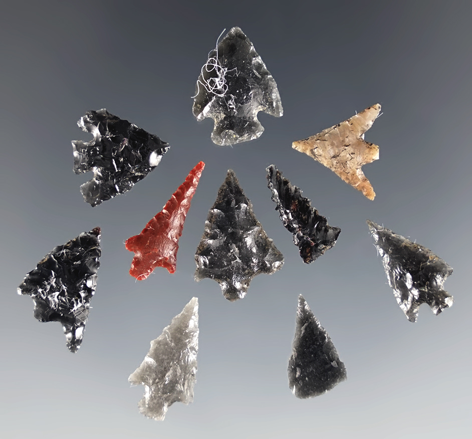 Set of 10 very small assorted arrowheads found near Fern Ridge, Lane Co., Oregon.
