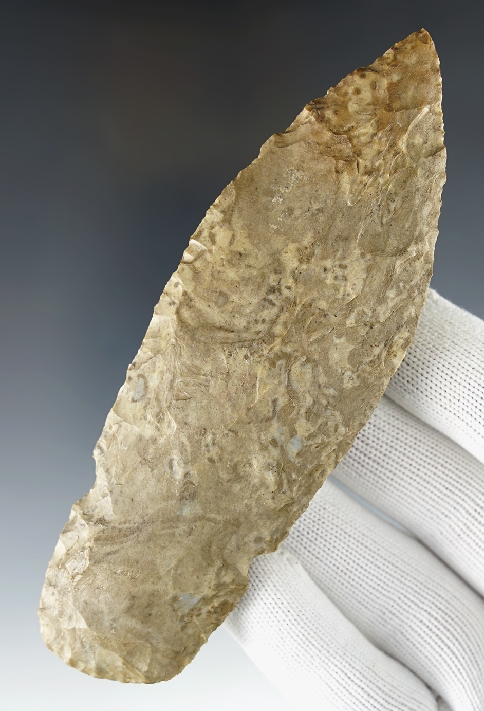 5" Snake Creek made from patinated Flint. Found in Washington Co., Kentucky. Bennett COA.