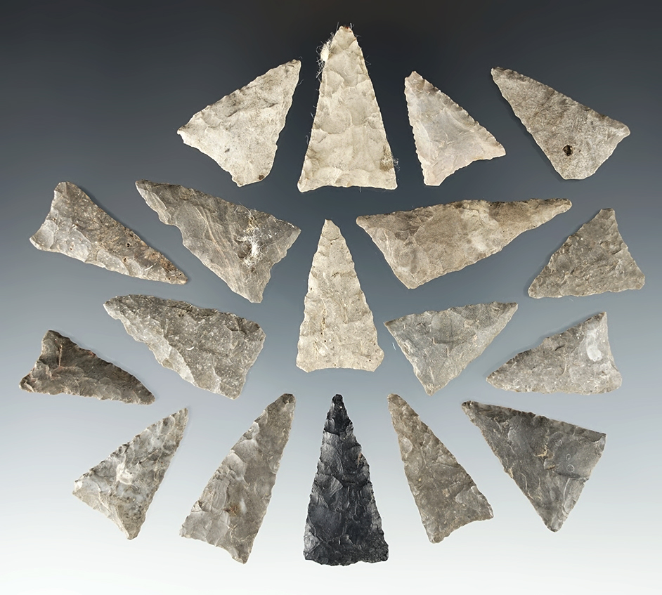 Group of 18 Triangle Points recovered in New York. Largest is 1 9/16".