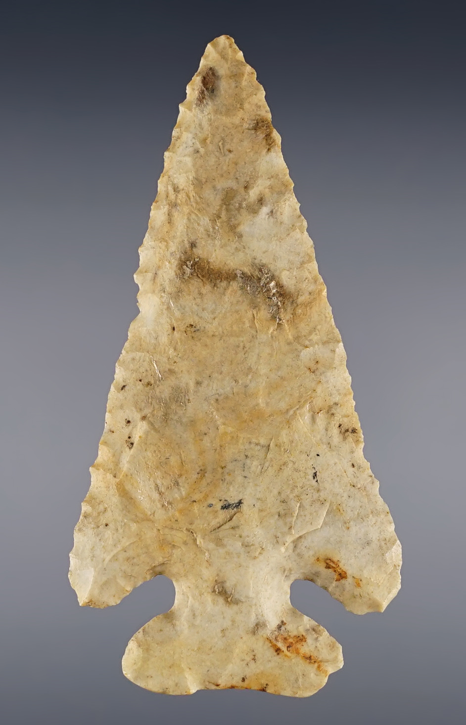 3 9/16" Archaic Thebes Bevel recovered in Fulton Co., Illinois. Thin and well flaked.