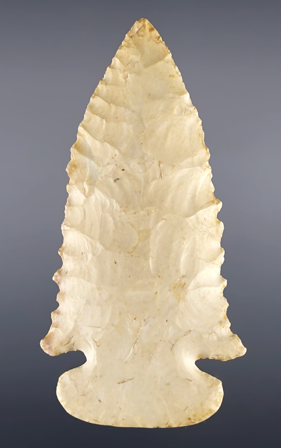 3 1/4" Wide Base style Dovetail with excellent edge serrations. Recovered in Scott Co., Illinois.