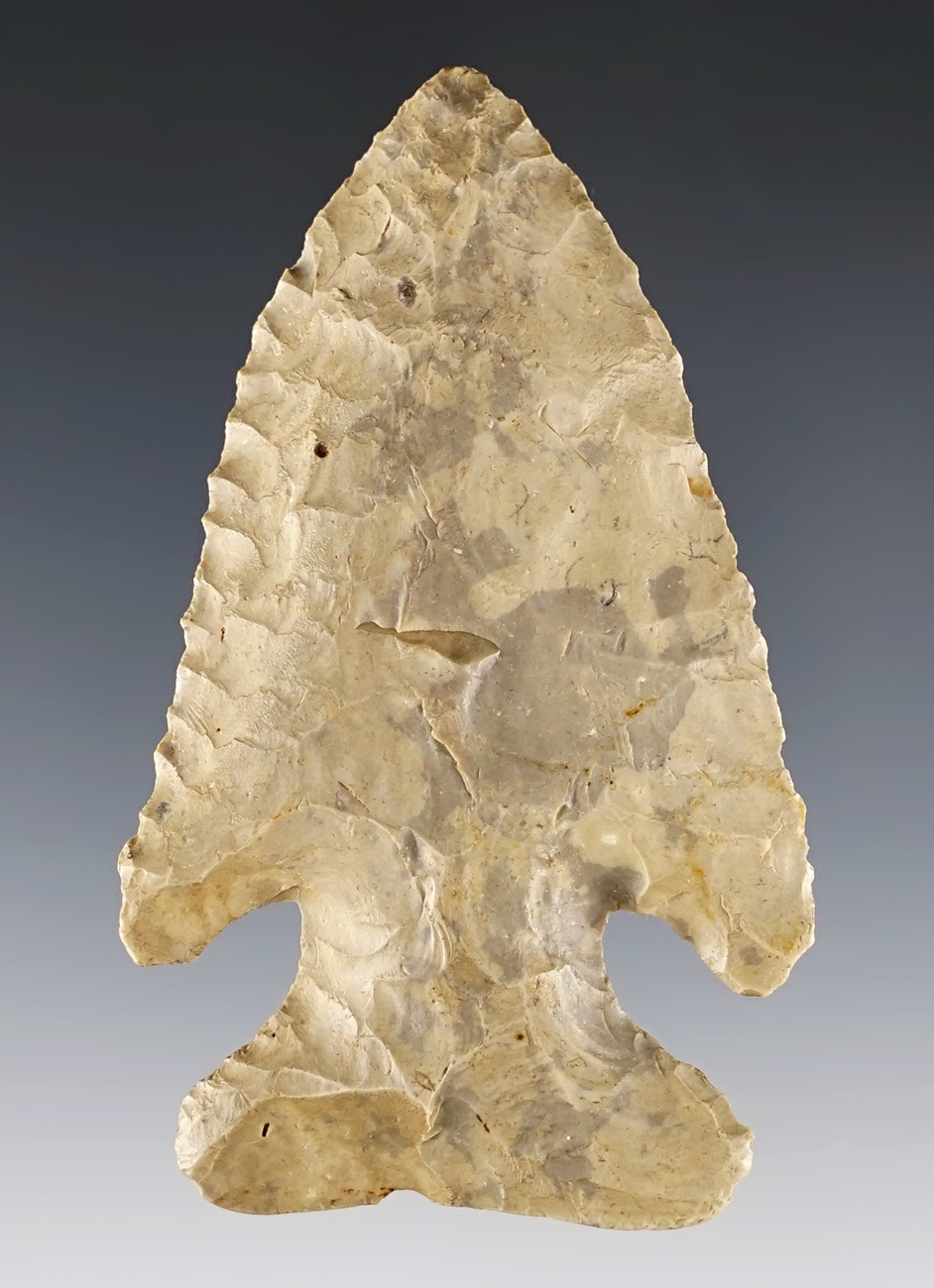 2 7/8" classic Thebes Archaic Bevel found in Delaware Co., Ohio. Grinding to the basal area.