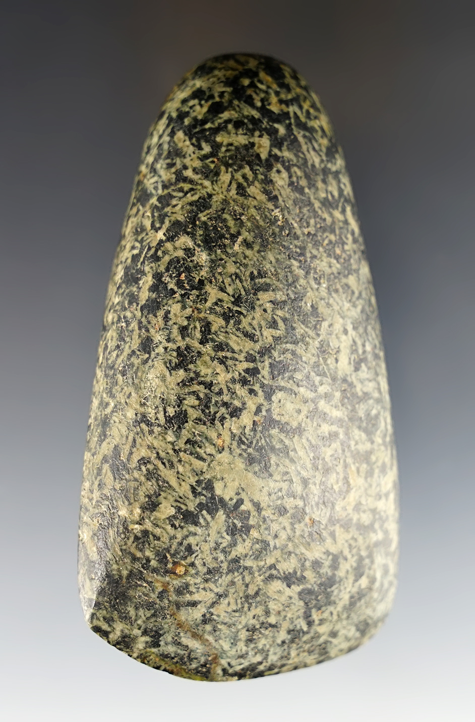 3 7/8" highly polished Hardstone Celt found in Hamilton Co., Ohio. Nice sharp bit.