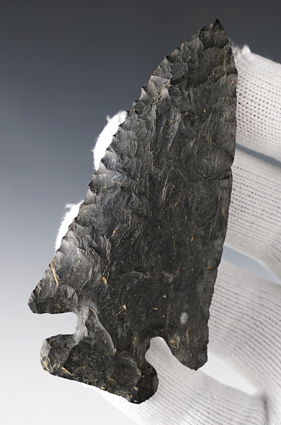 3 7/16" Thebes E-Notch. Found in Knox Co., Ohio. Pictured in "Who's Who" #8 on page 181.