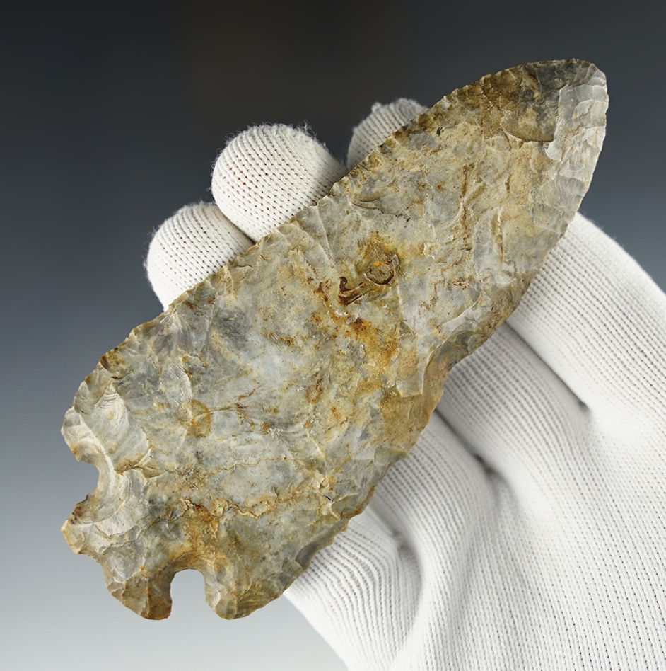 4 3/4" Archaic Notch Base Dovetail from patinated Coshocton Flint. Found in Marion Co., Ohio.