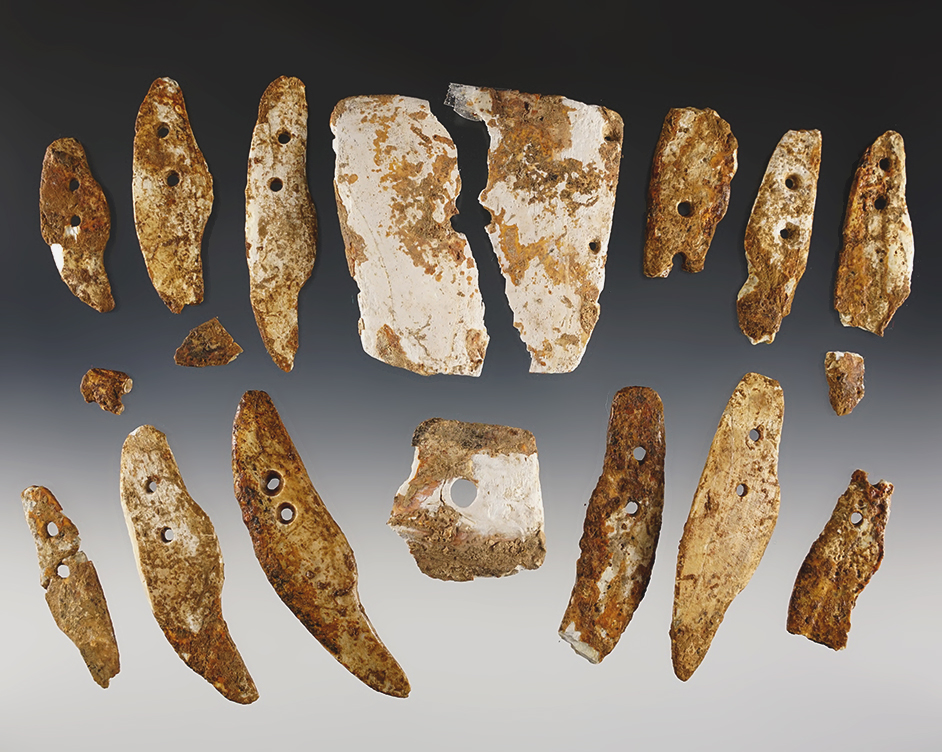 14 piece Mussel Shell Bear Tooth Effigy Pendant Necklace found in Adair Co., Kentucky.