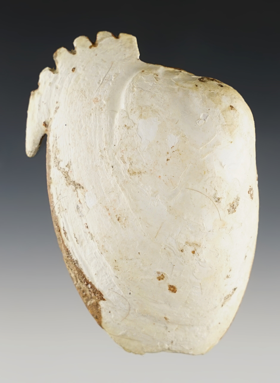 4 1/8" Shell Spoon. Very nicely made with a toothed edge. Found in Mississippi Co., Arkansas.