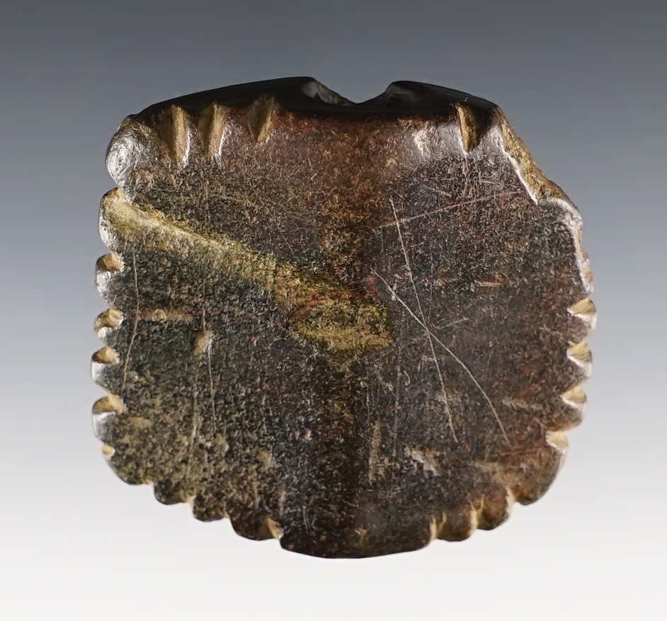 2 1/4" x 2 1/2" drilled Steatite Bannerstone found in Lycoming Co., Pennsylvania.