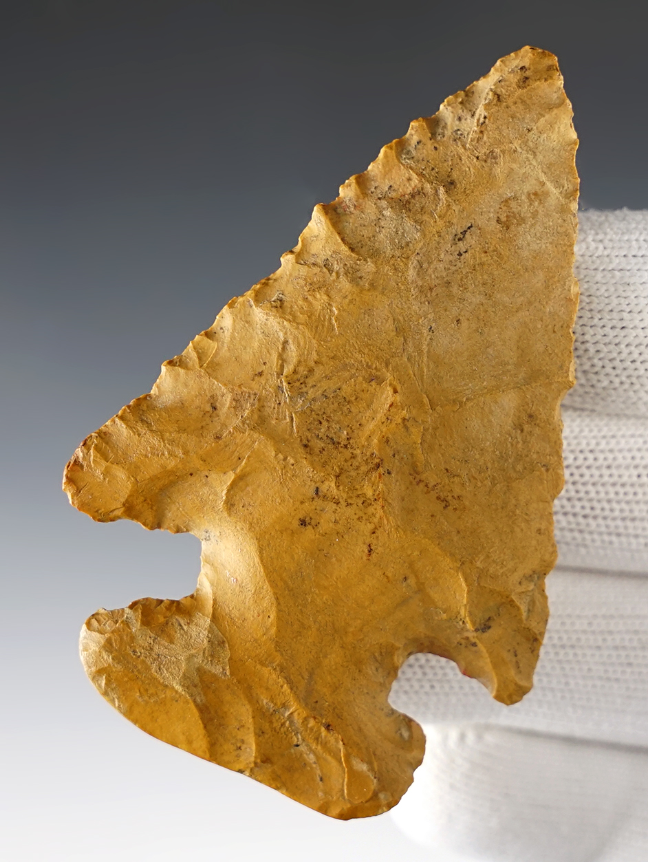 3 1/16" Thebes with a ground base. Made from tan Chert.Found in Trigg Co., Kentucky. COA.
