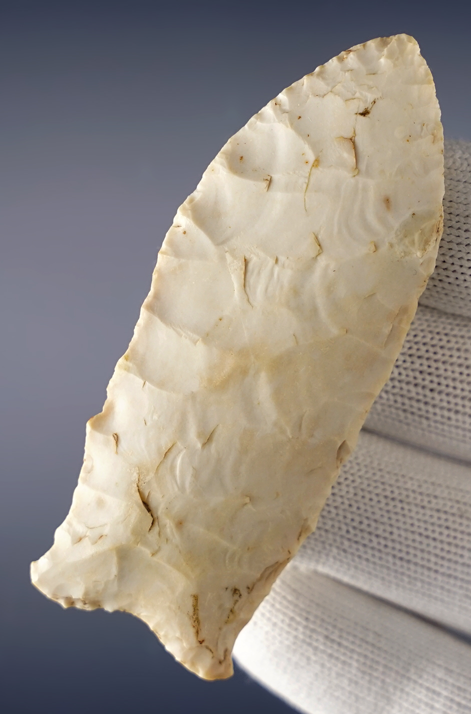 3 1/16" Burlington Chert Dalton. Found in Pike Co., Illinois. Ex. Terry Allen. Dickey COA.