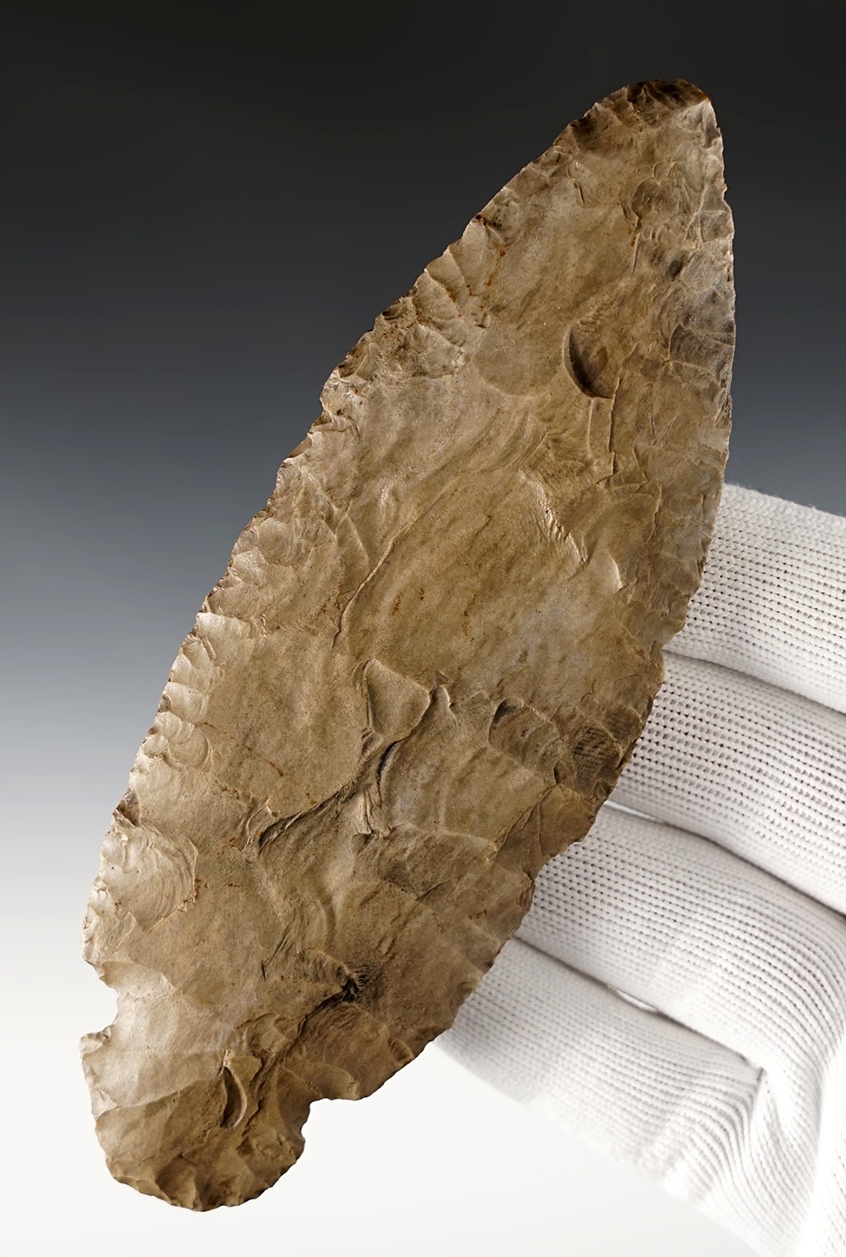 5 5/8" Early Ovoid Blade found in Marshall Co., Kentucky. Ex. Mitch Lewis.