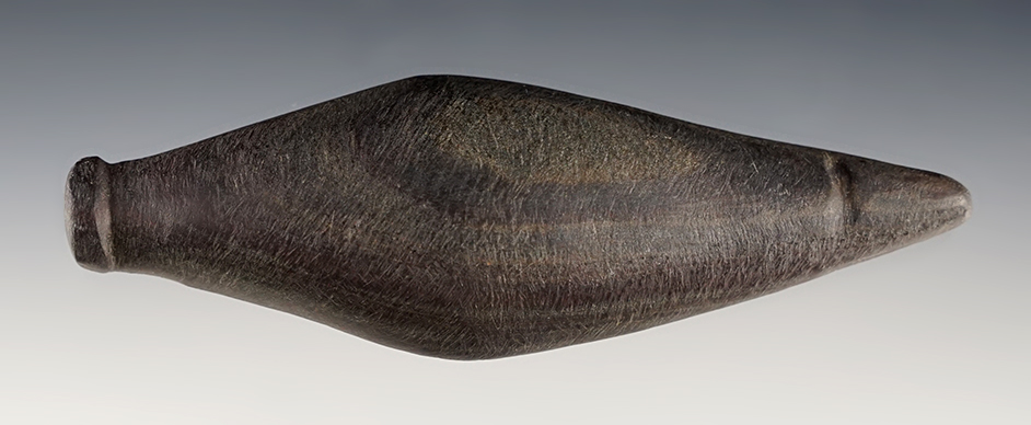 4 13/16" Slate Lizard found in Richland Co., Ohio. Ex. Gilbert Dilley.
