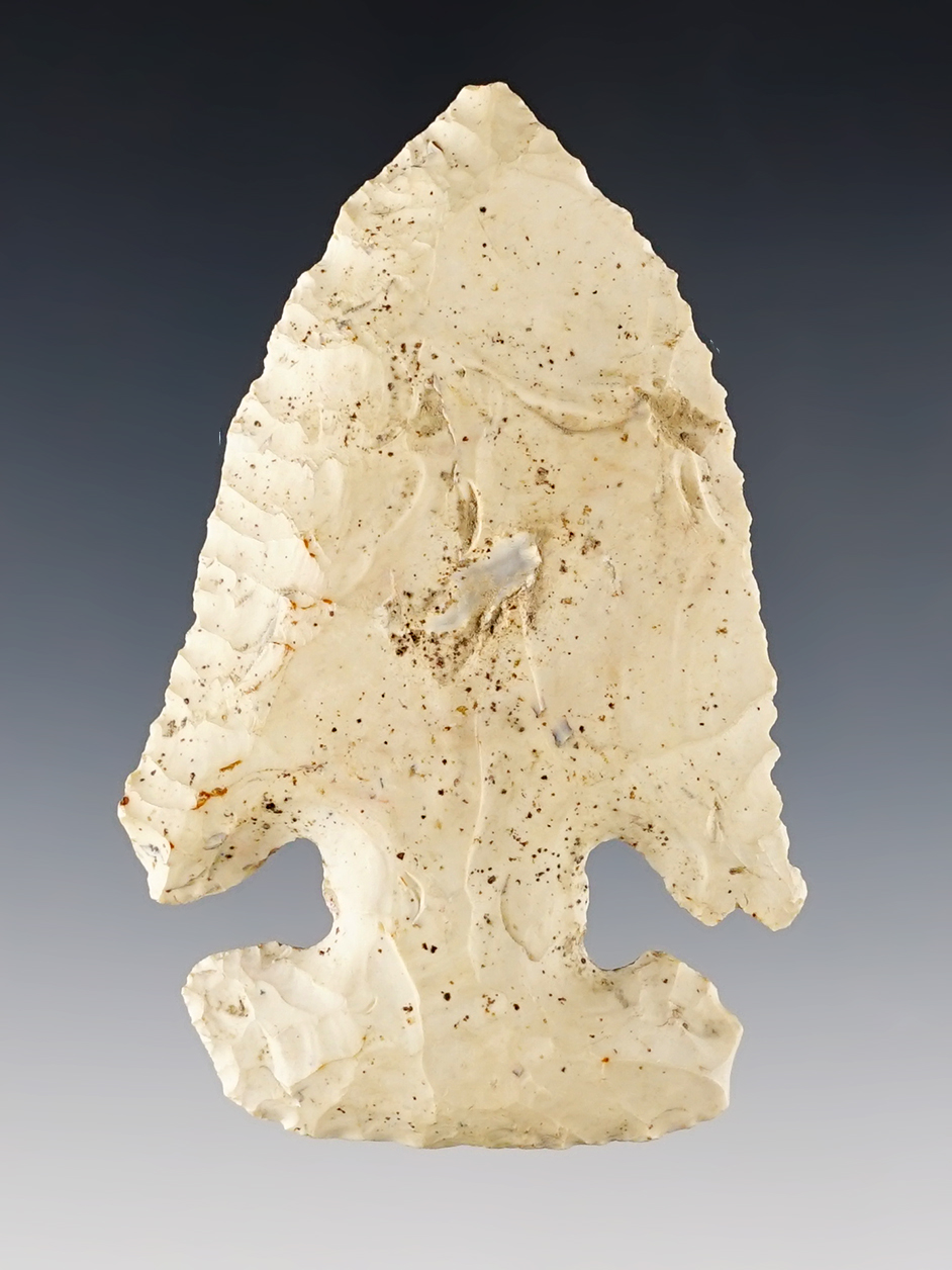 2 3/4" Archaic Thebes E-Notch with nicely defined notches. Found in Delaware Co., Ohio.