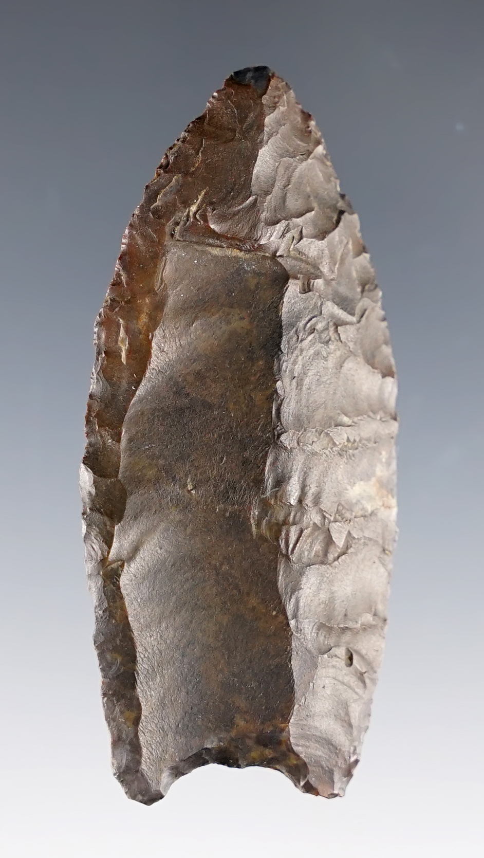 2 1/4" Fluted Paleo Clovis made from Coshocton Flint. Found in Zoarville, Ohio.